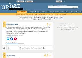 American online slang dictionary