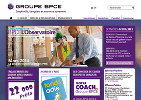 French bpce banking group