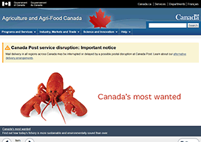 Agriculture and agrifood Canada