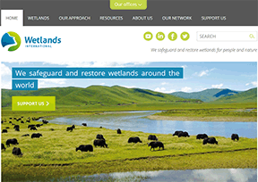 Wetland International