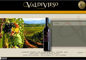 Valdivieso winery