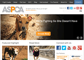 American Society for the prevention of animal abuse