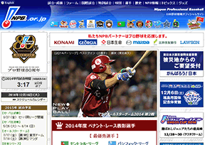 Japanese baseball organization